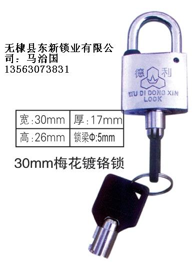 30mm梅花鍍鉻表箱掛鎖,國網電力表箱鎖,農網改造電表箱通開鎖